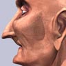 3d head image l5