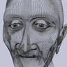 3d wireframe head image
