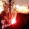 image sunset branches
